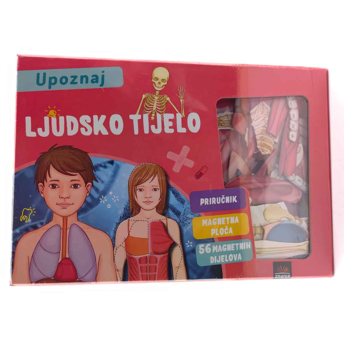 Magnetna Tabla Ljudsko Tijelo