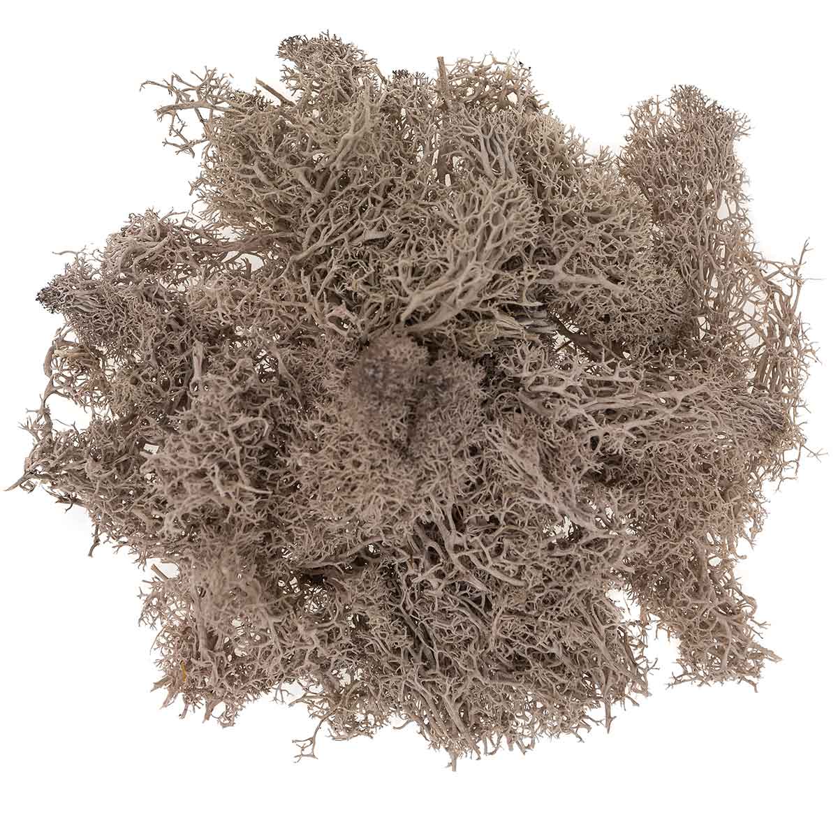 Mahovina Smeđa 30gr. DPZA-134